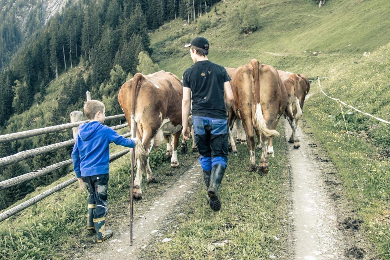 Brugger Chaletdorf Villa Mayrhofen Dış mekan fotoğraf