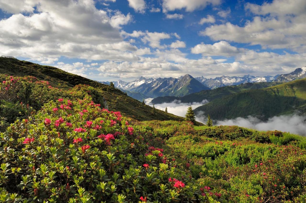 Brugger Chaletdorf Villa Mayrhofen Dış mekan fotoğraf