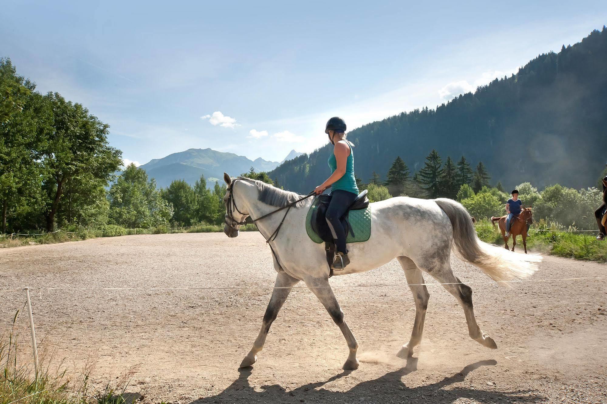 Brugger Chaletdorf Villa Mayrhofen Dış mekan fotoğraf